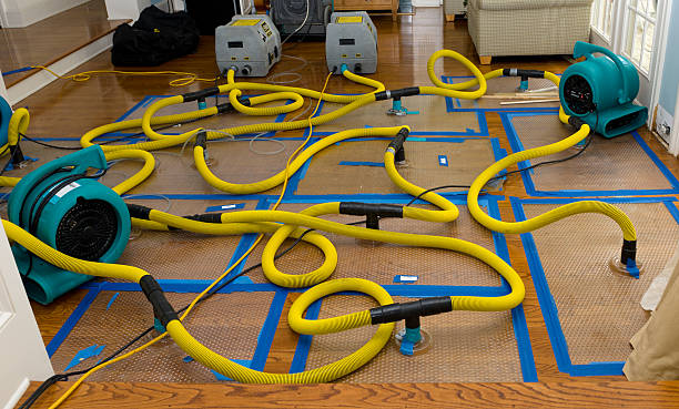 Professional Crawl Space Water Removal technician working in Malvern, IA